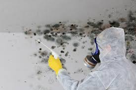 Best Basement Mold Removal  in Guthrie, KY